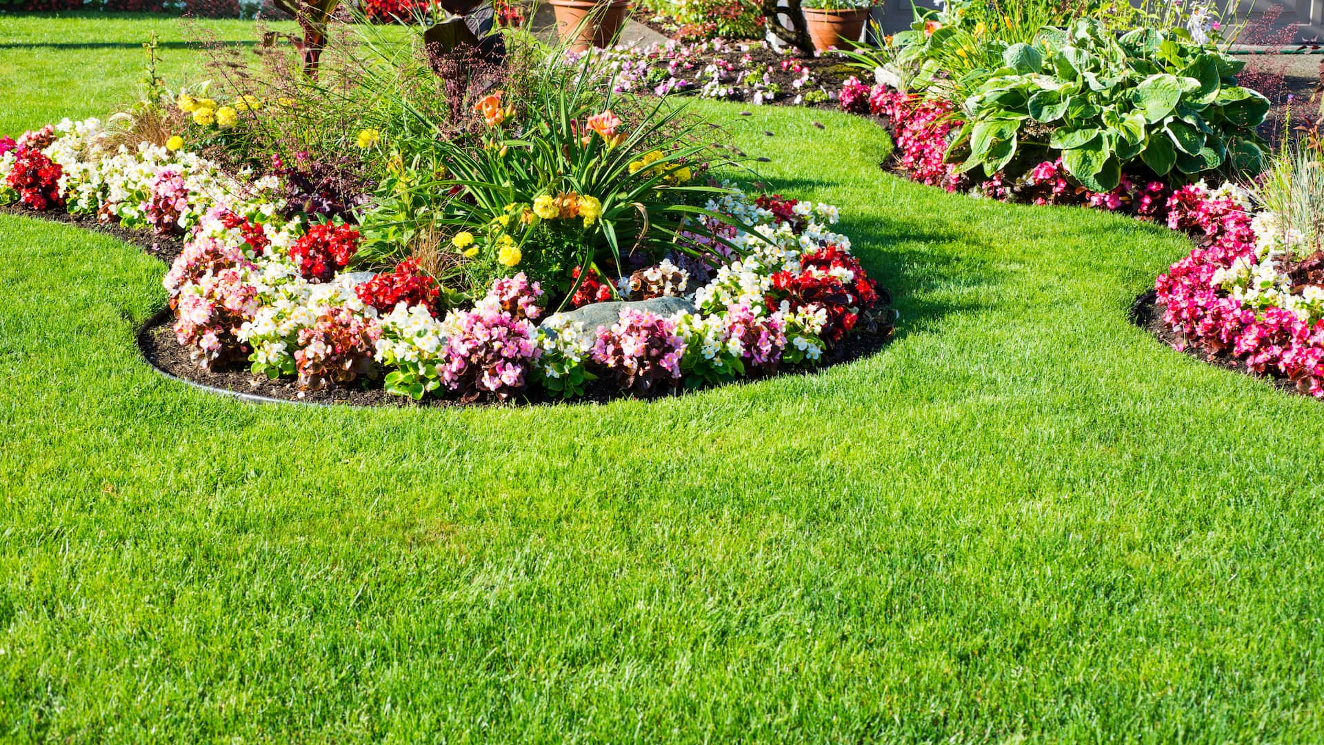 Landscaped garden