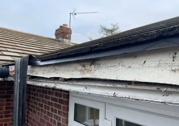 Close-up of damaged gutter and roofline requiring repair