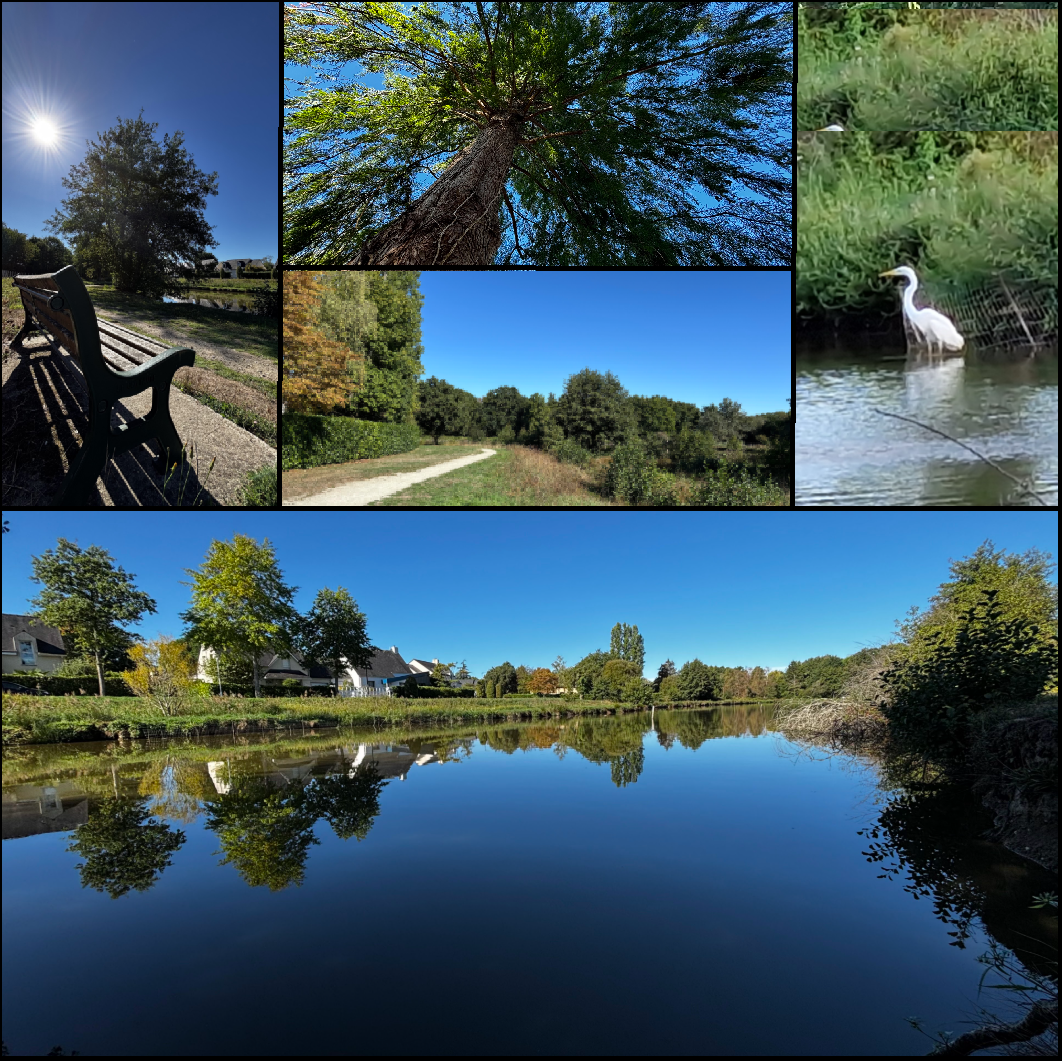 Montage photographique du Bois Saint-Lys montrant l’étang, les cheminements, la végétation et un héron blanc