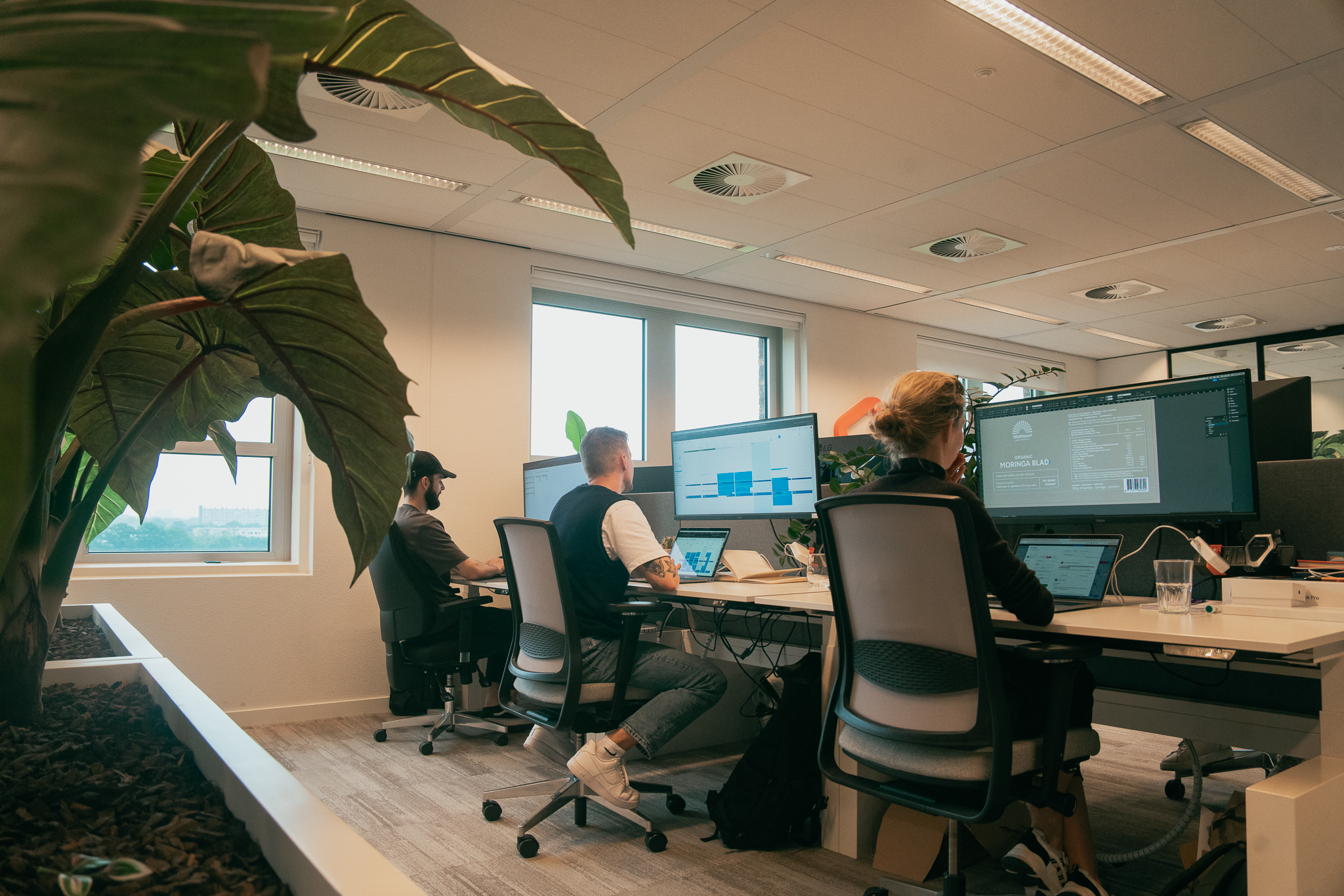 Drie mensen die achter computers zitten in een modern kantoor met grote beeldschermen en planten bij het raam.