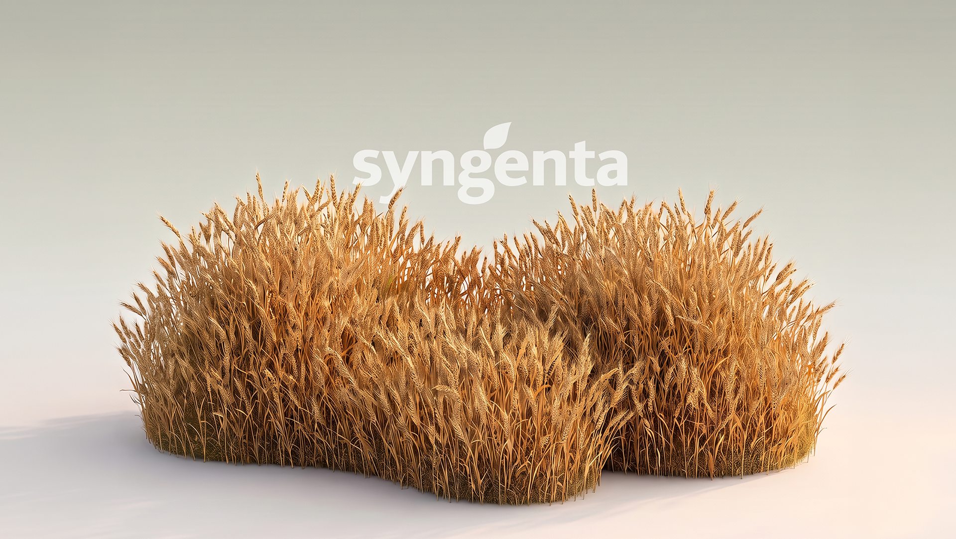 Syngenta Vixeran: Pump up your crops