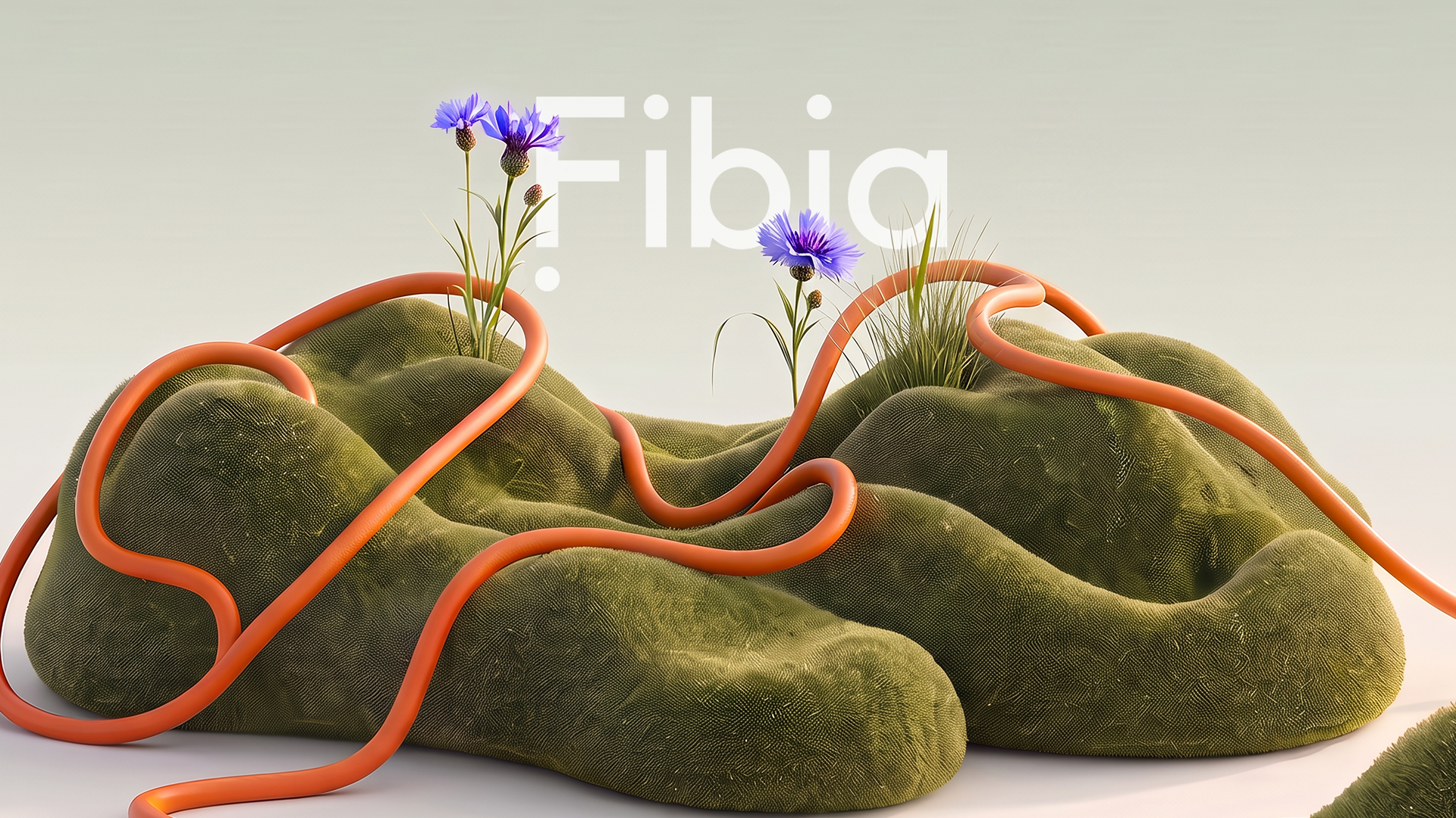 Fibia: Fibervej