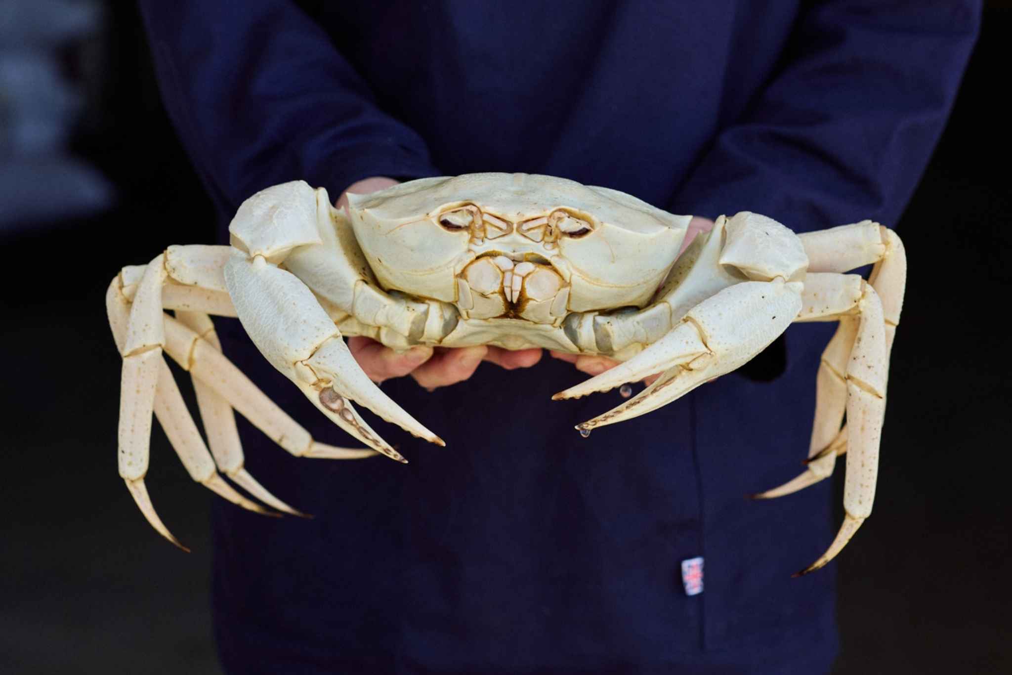 Crystal crab fishing waters off Western Australia