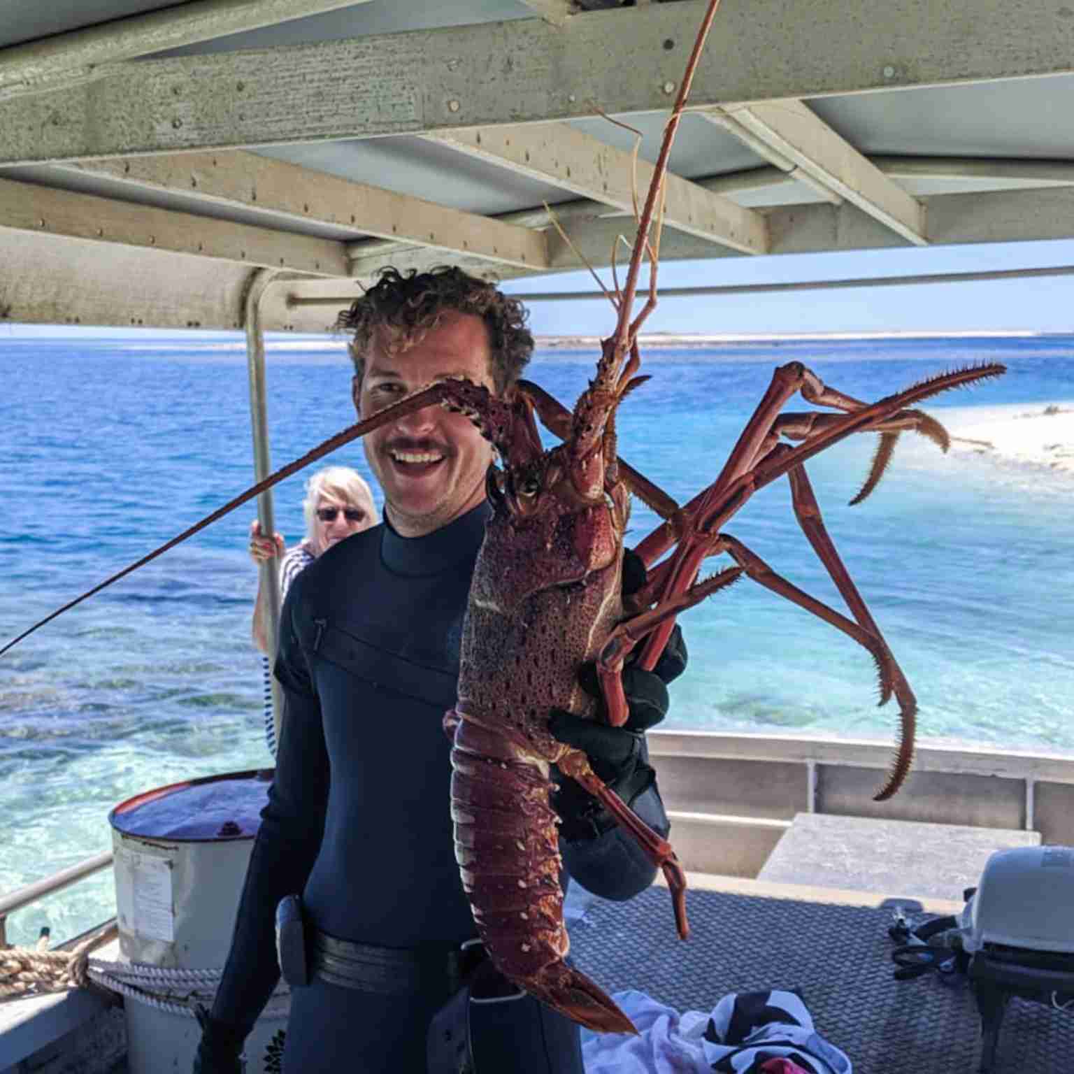 Western rock lobster - gallery image 2