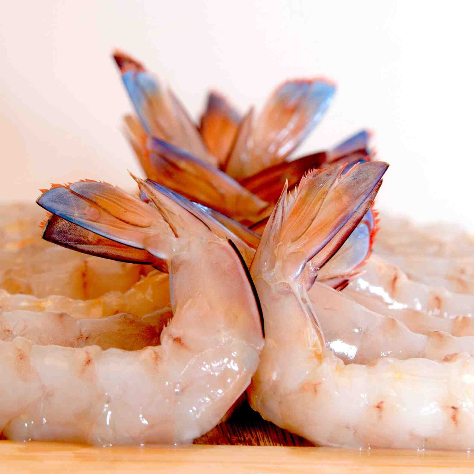 Wild prawns from Western Australia - gallery image 2
