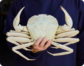 West Australian crystal crab dish