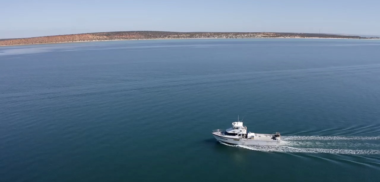 Fresh Western Australian seafood in Perth