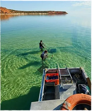 Southern Trading Australia Instagram photo - Western Australian catch