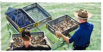 Southern Trading Australia seafood handling in Perth