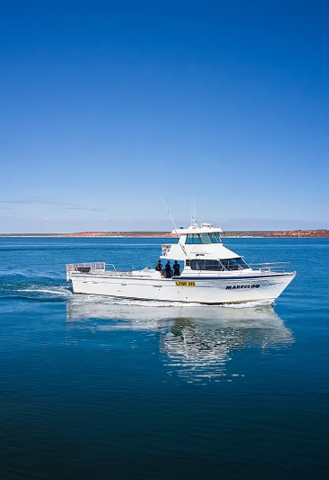 Buccaneer Spanish mackerel catch