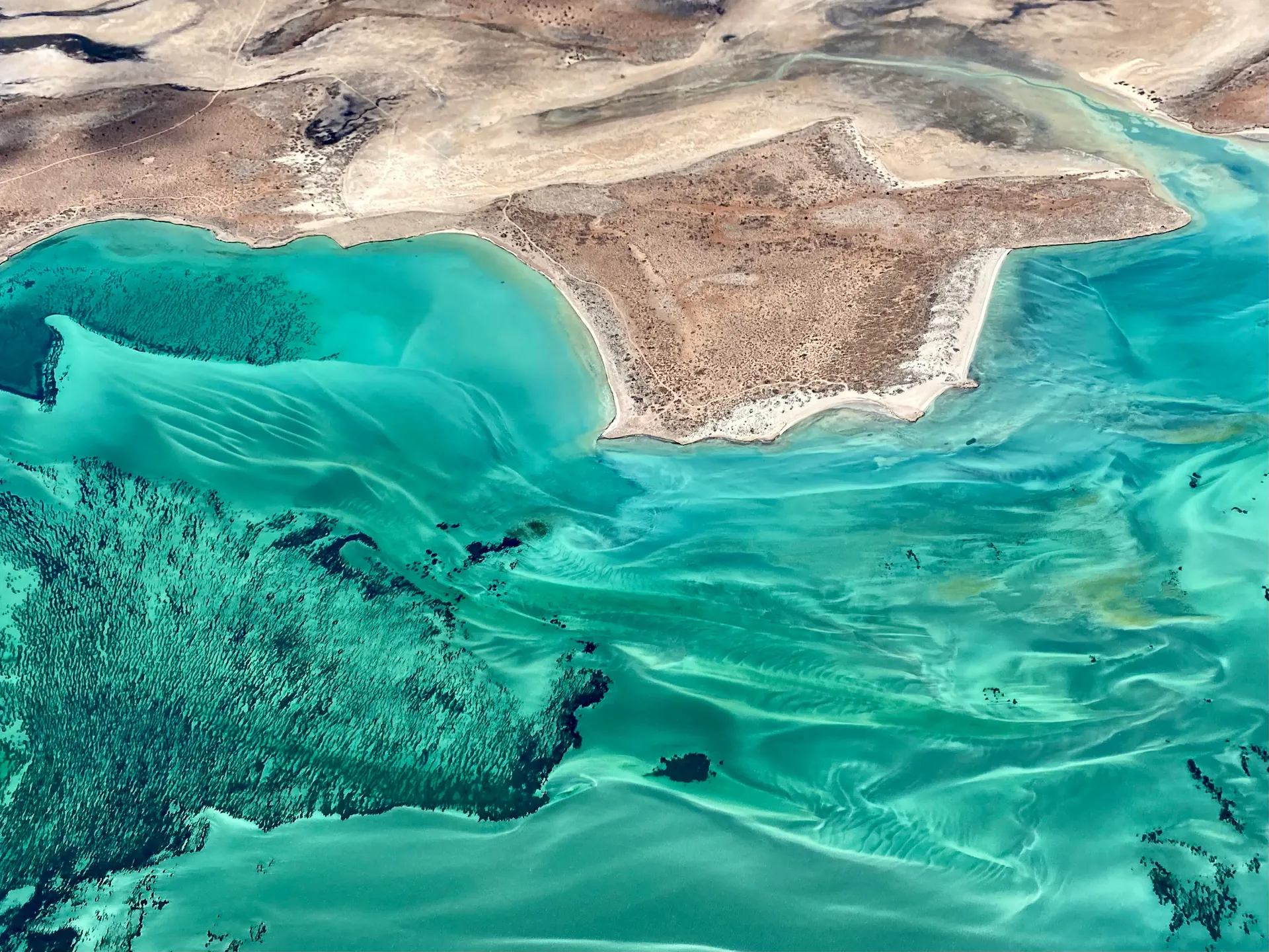 Shark Bay, Western Australia