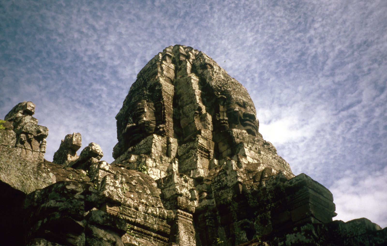 A temple tower, reclaimed by forest