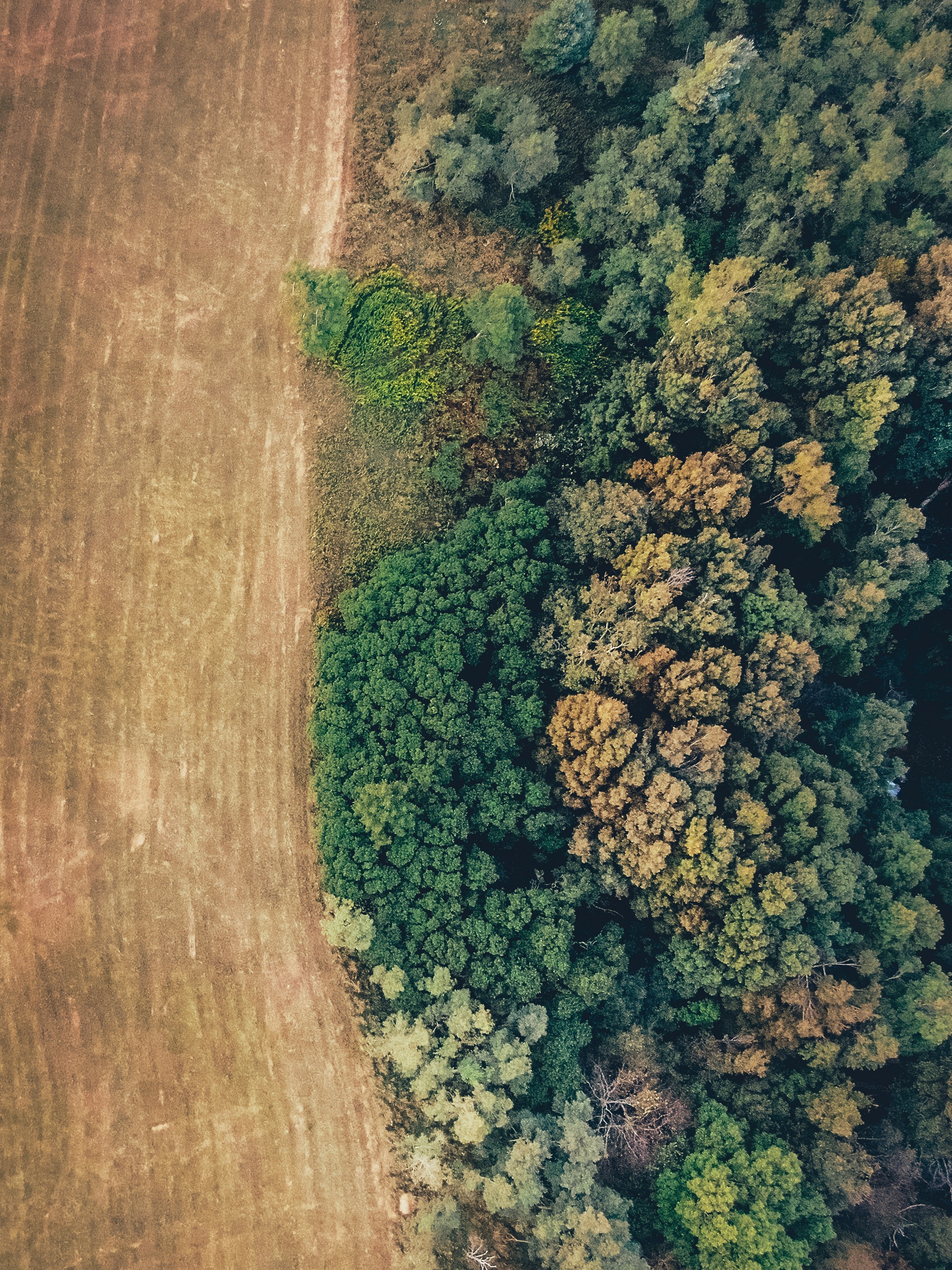 Aerial view of farmland, half bare soil and half growing crop