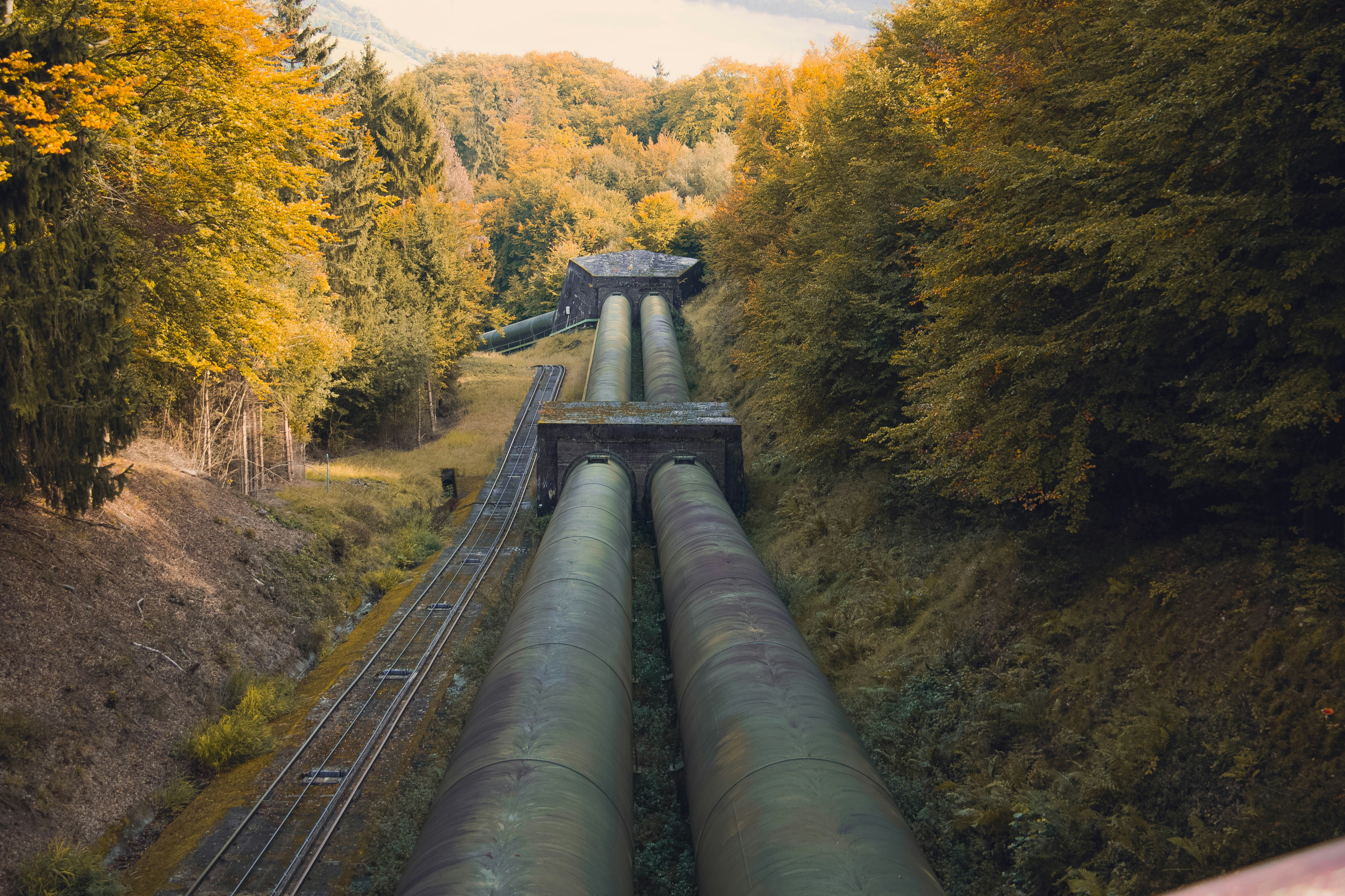A pipeline corridor cut through autumn woodland