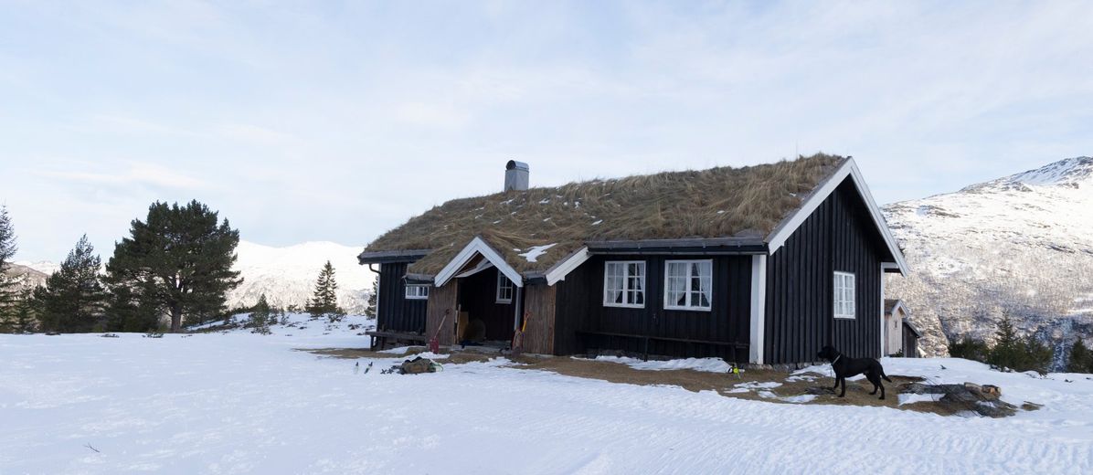 Hytte med torvtak i vinterlandskap