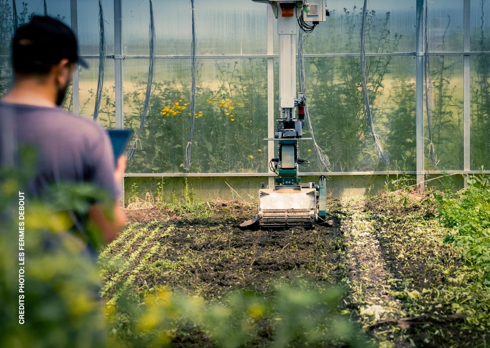 Robot agricole dans une serre maraîchère des Fermes Debout