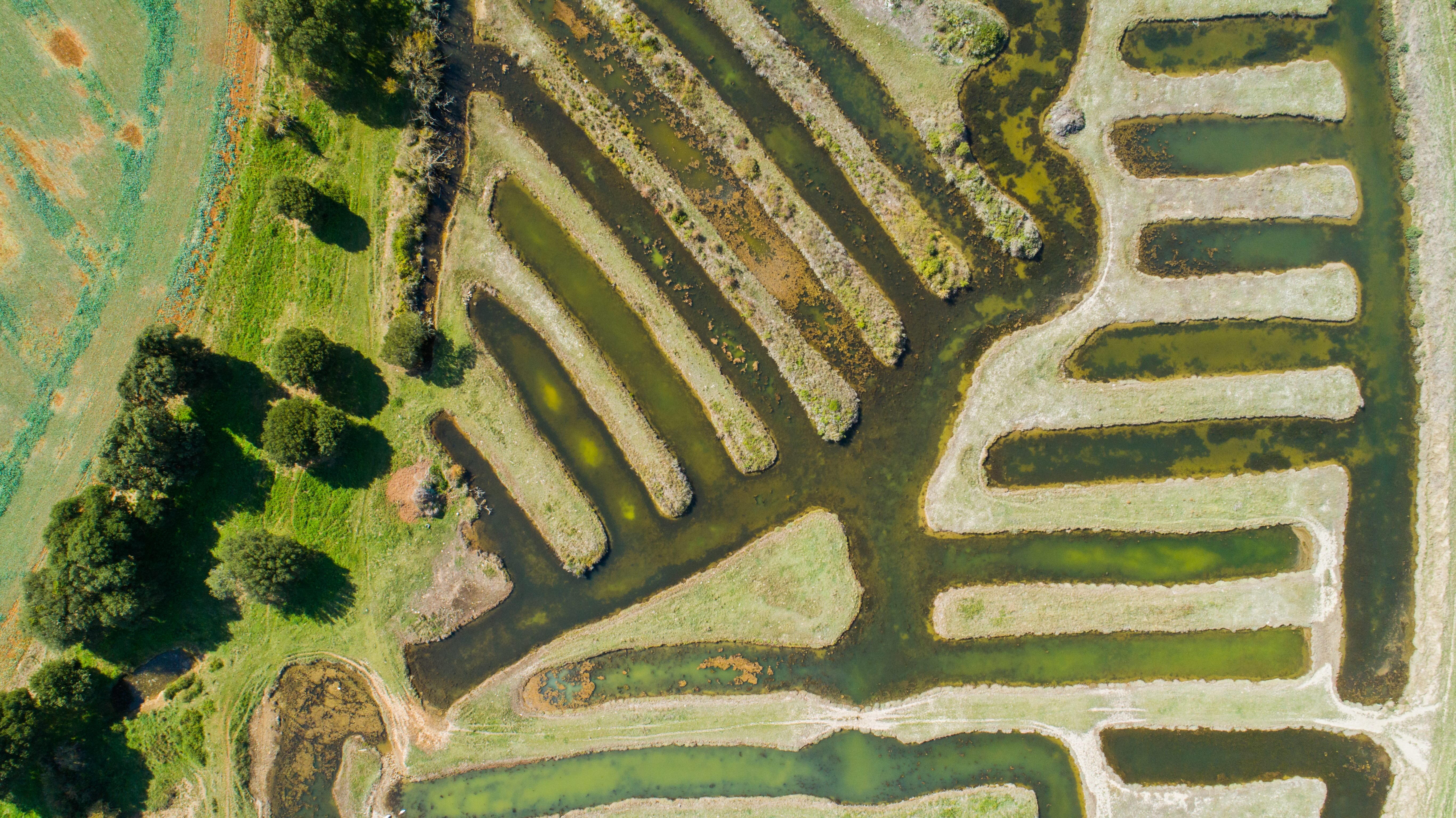 Vue aérienne d'un marais et de ses canaux