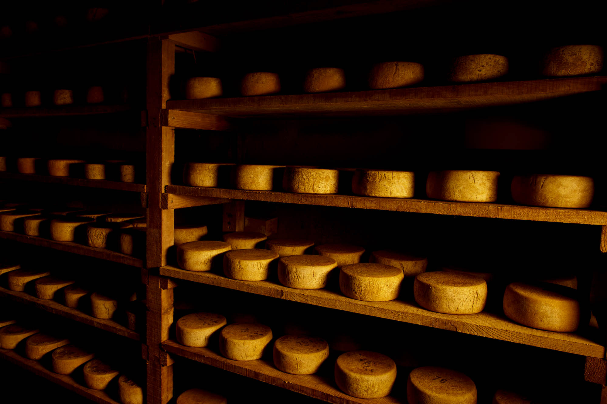 Fromages en affinage sur des étagères en bois