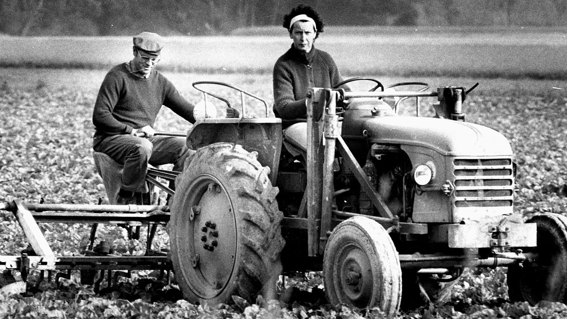 Agriculteurs et tracteur dans les années 1970