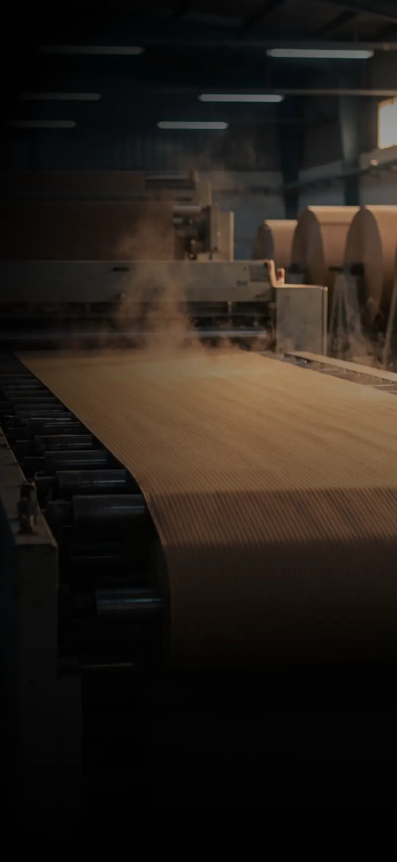 Corrugated board on the production line at National Paper Industry