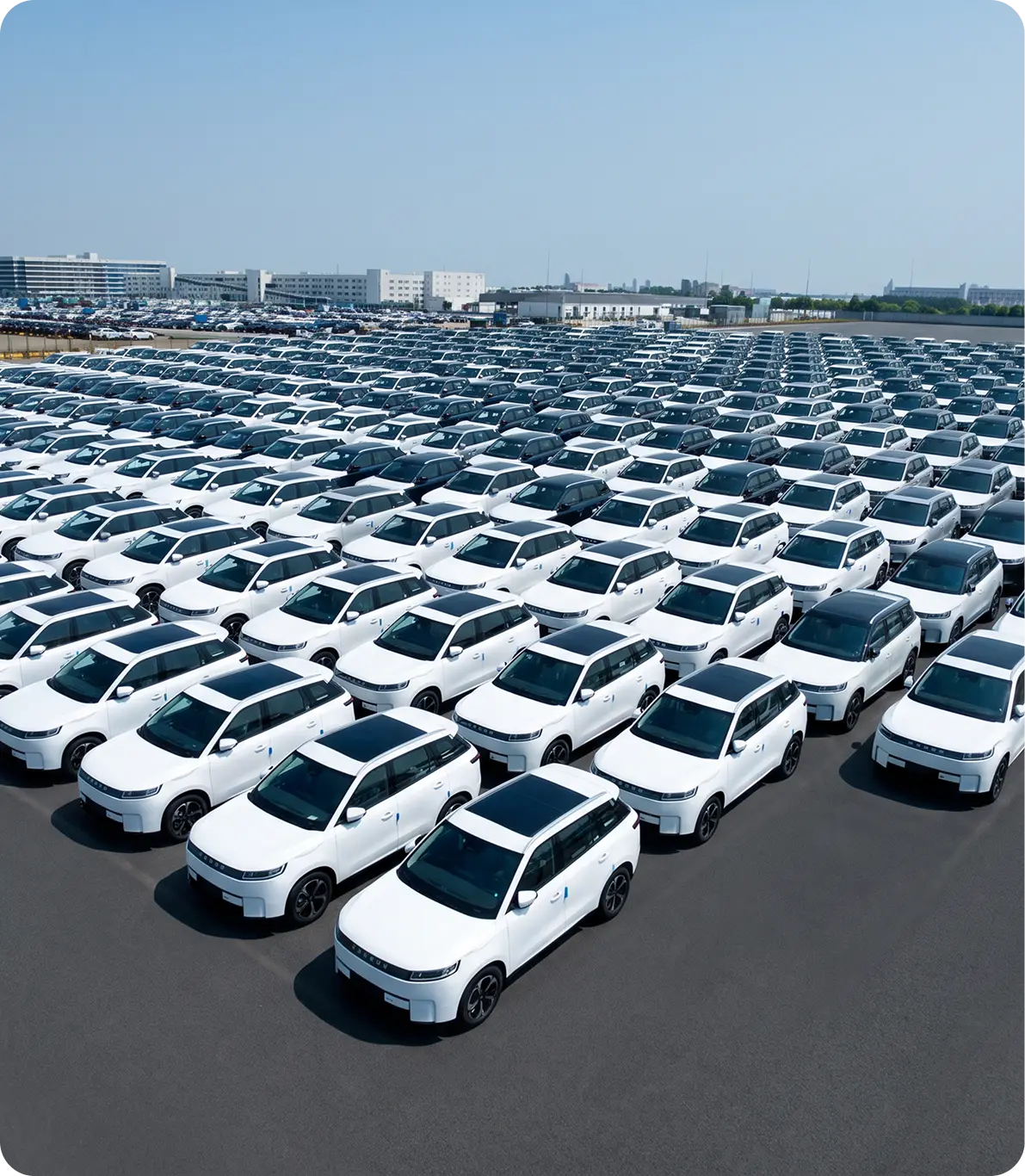 Fleet of vehicles ready for delivery
