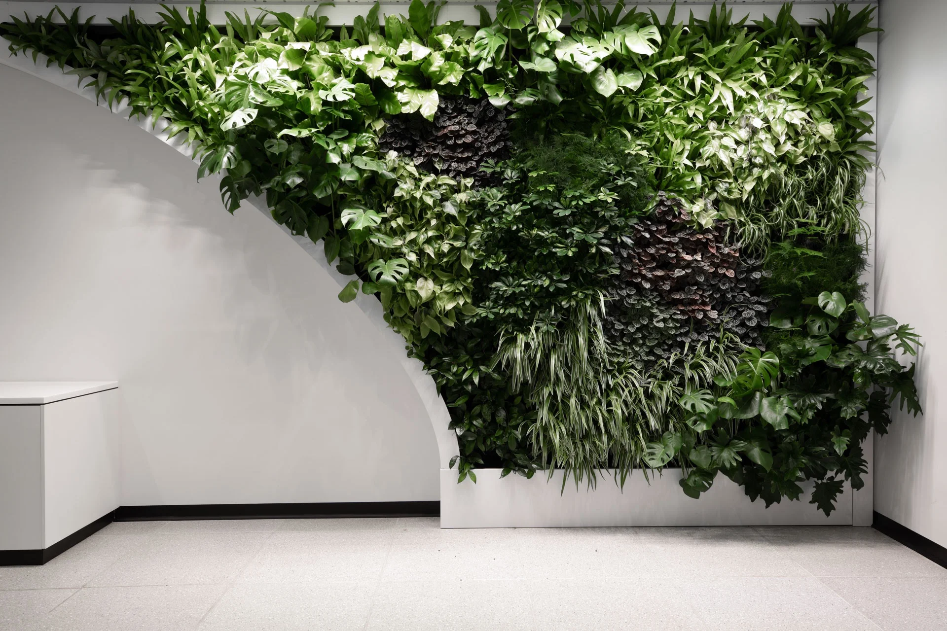 a green wall in an office with plants growing on it
