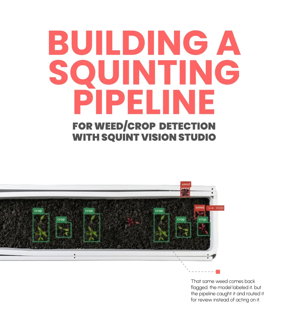 Building a squinting pipeline for weed and crop detection with Squint Vision Studio
