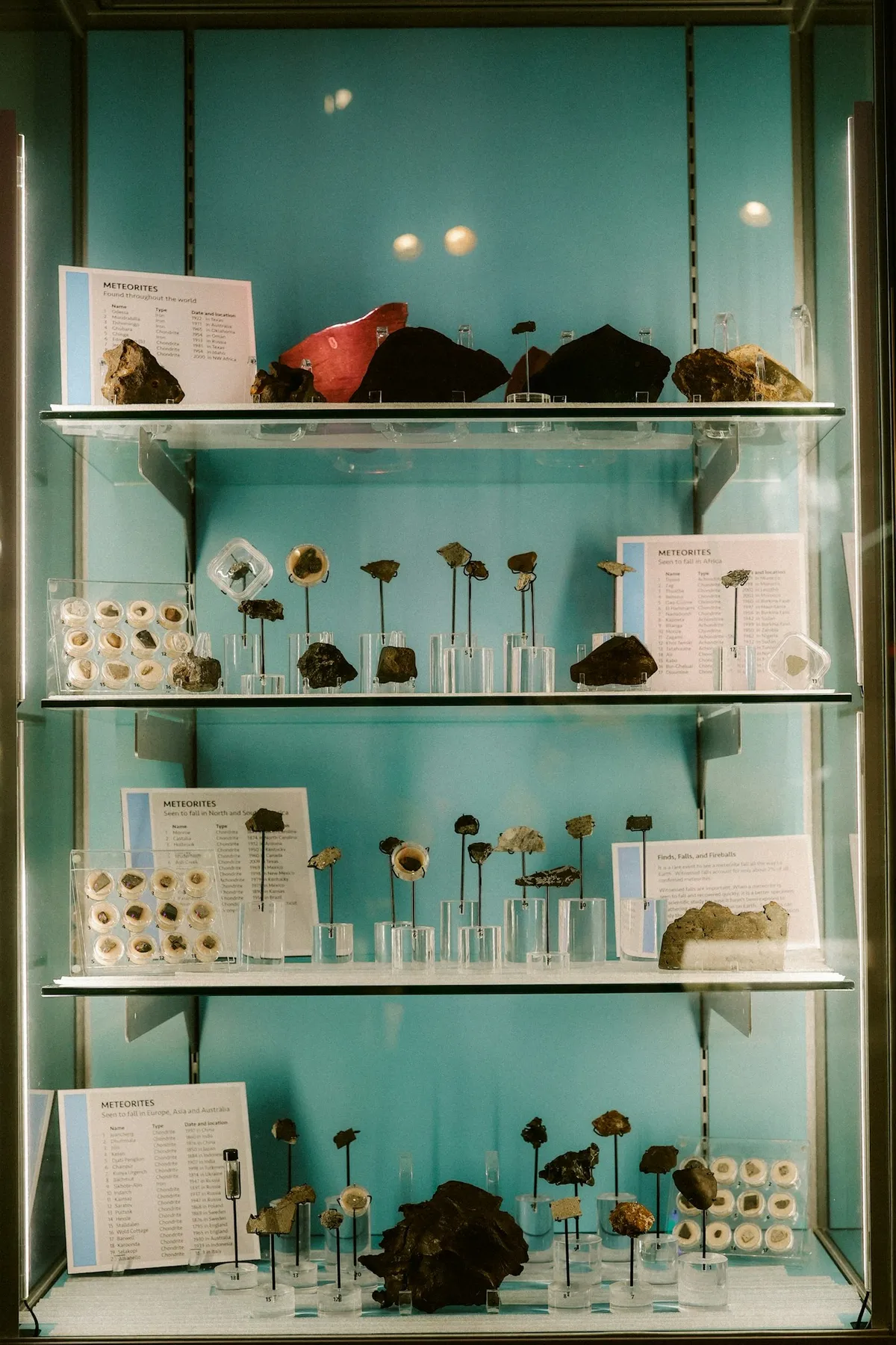 Rock and mineral specimens shelved in a glass cabinet, each with its own small white label