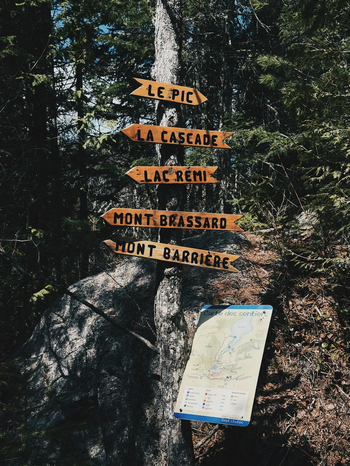 Wooden signs on a post pointing toward several destinations in a forest