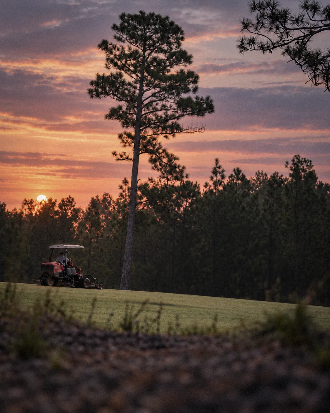 A golf course during sunset with a person riding a red mower on the freshly cut grass, tall pine trees in the background, and a colorful sky with clouds.