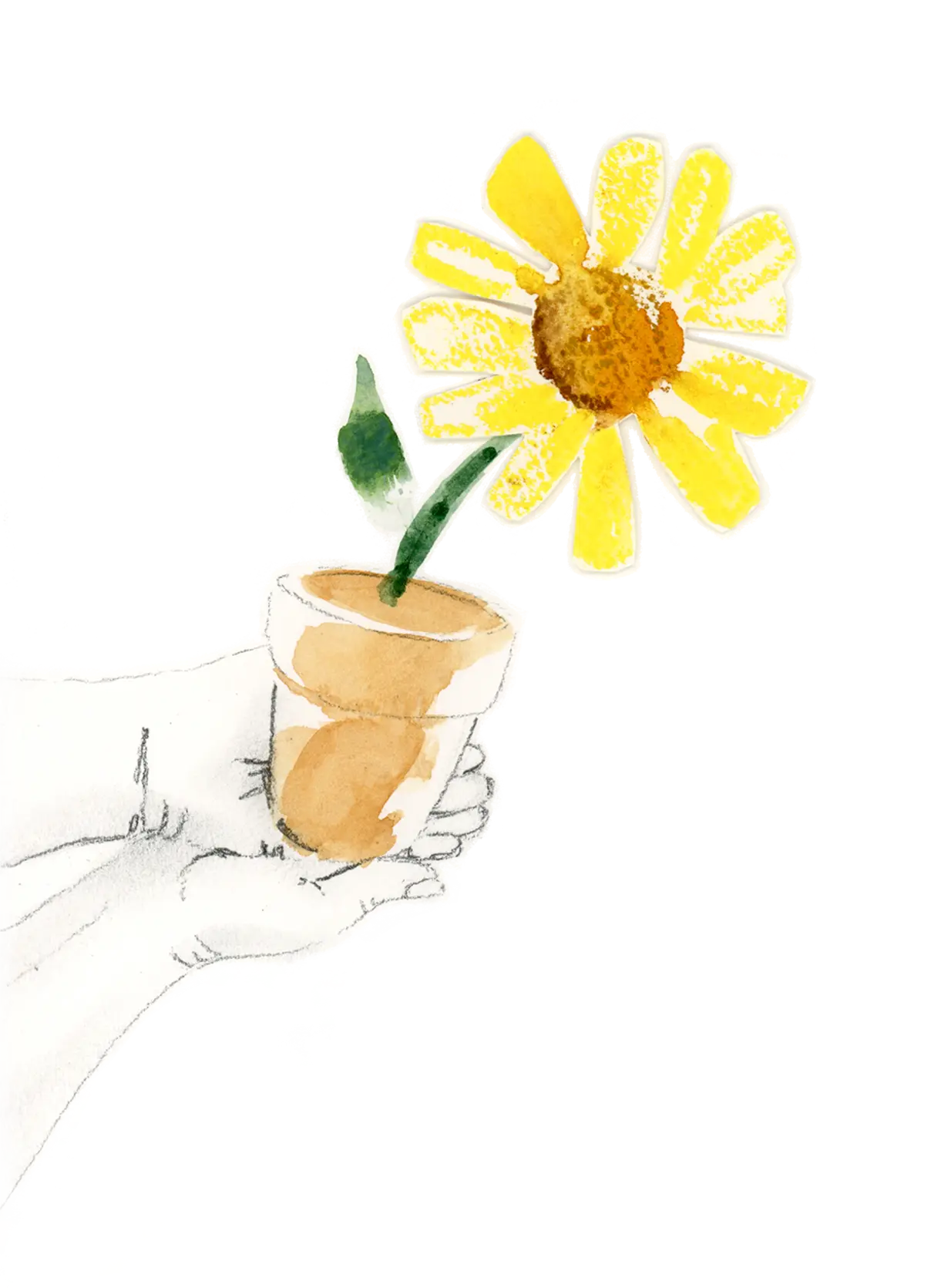 Offering a sunflower