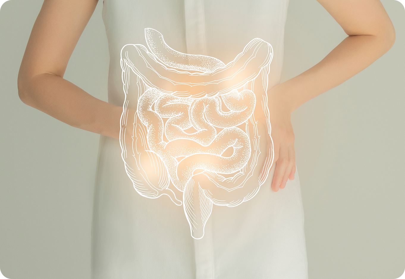 Person with hands on lower back and an overlay illustration of the digestive system, highlighting the intestines glowing in the abdominal area.