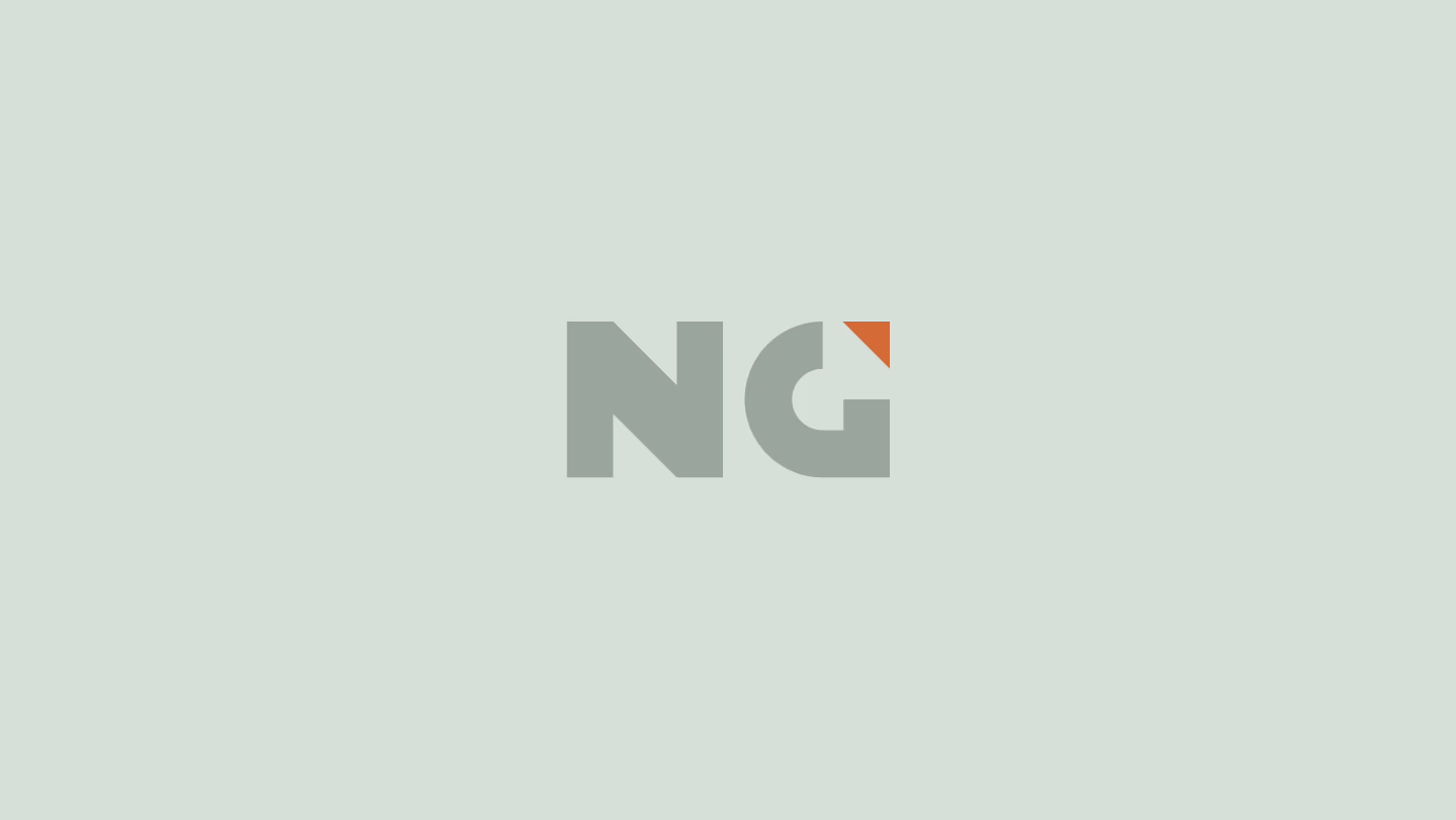 NextGen Logo Card
