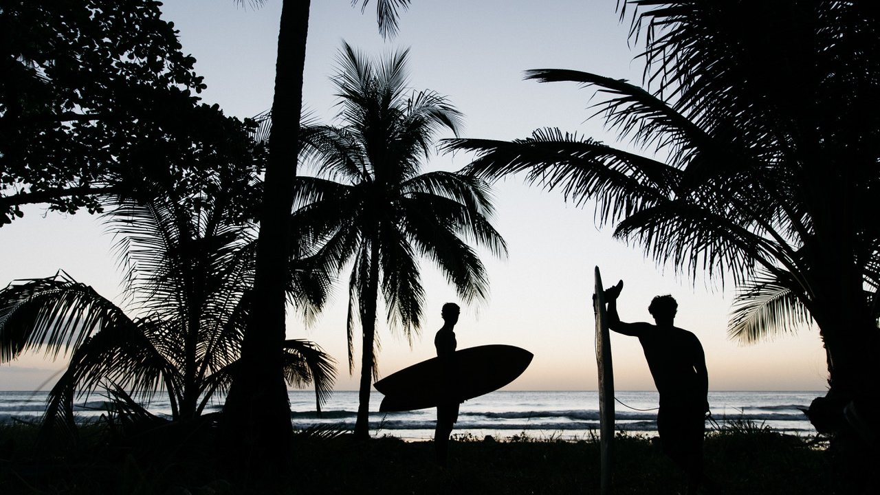 Silhouettes of two surfers with boards under palm trees at sunset.