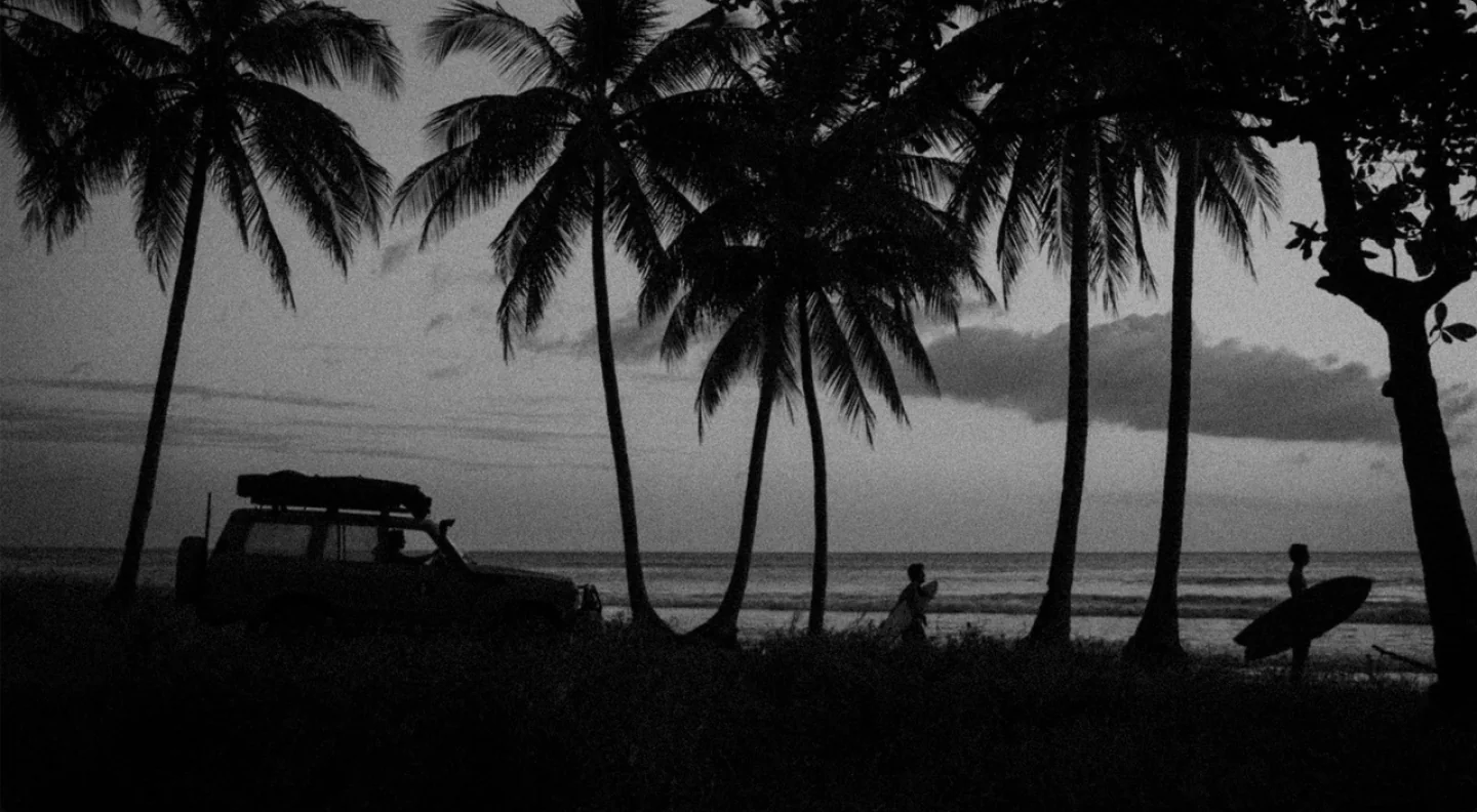 Palm-lined coast at Santa Teresa