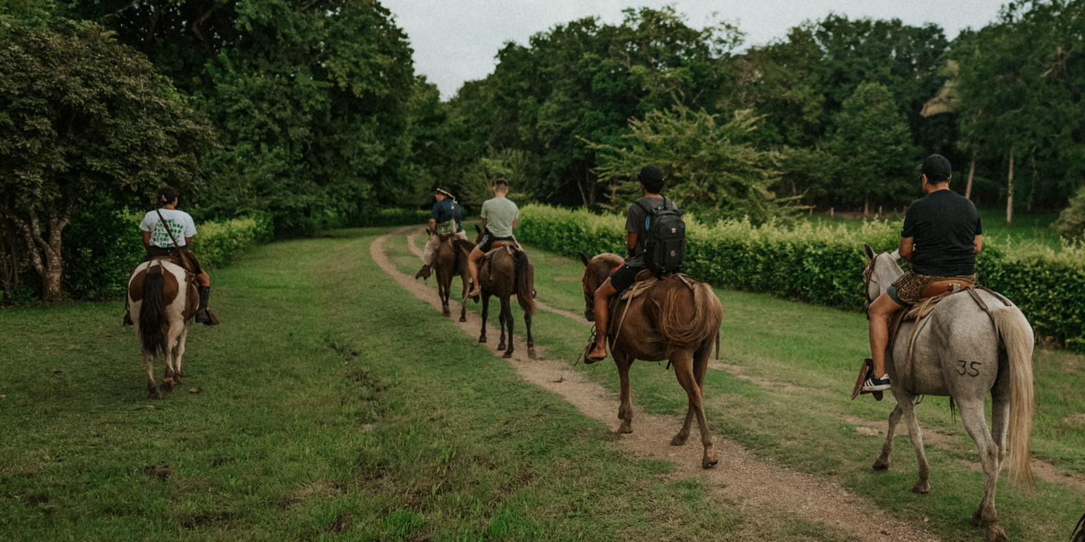 Five people riding horses on a dirt trail through a green grassy area with trees and bushes on both sides.