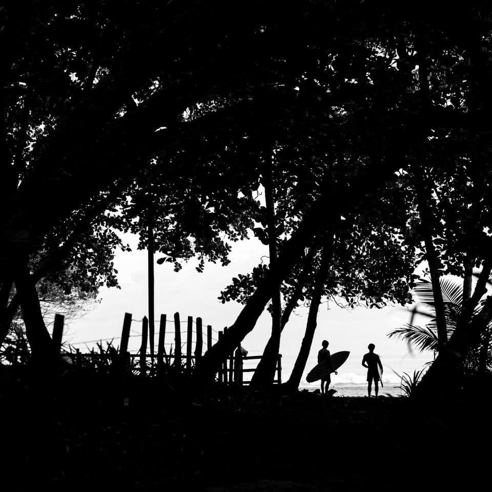 Black and white silhouette of two people standing near the beach under trees, one holding a surfboard.