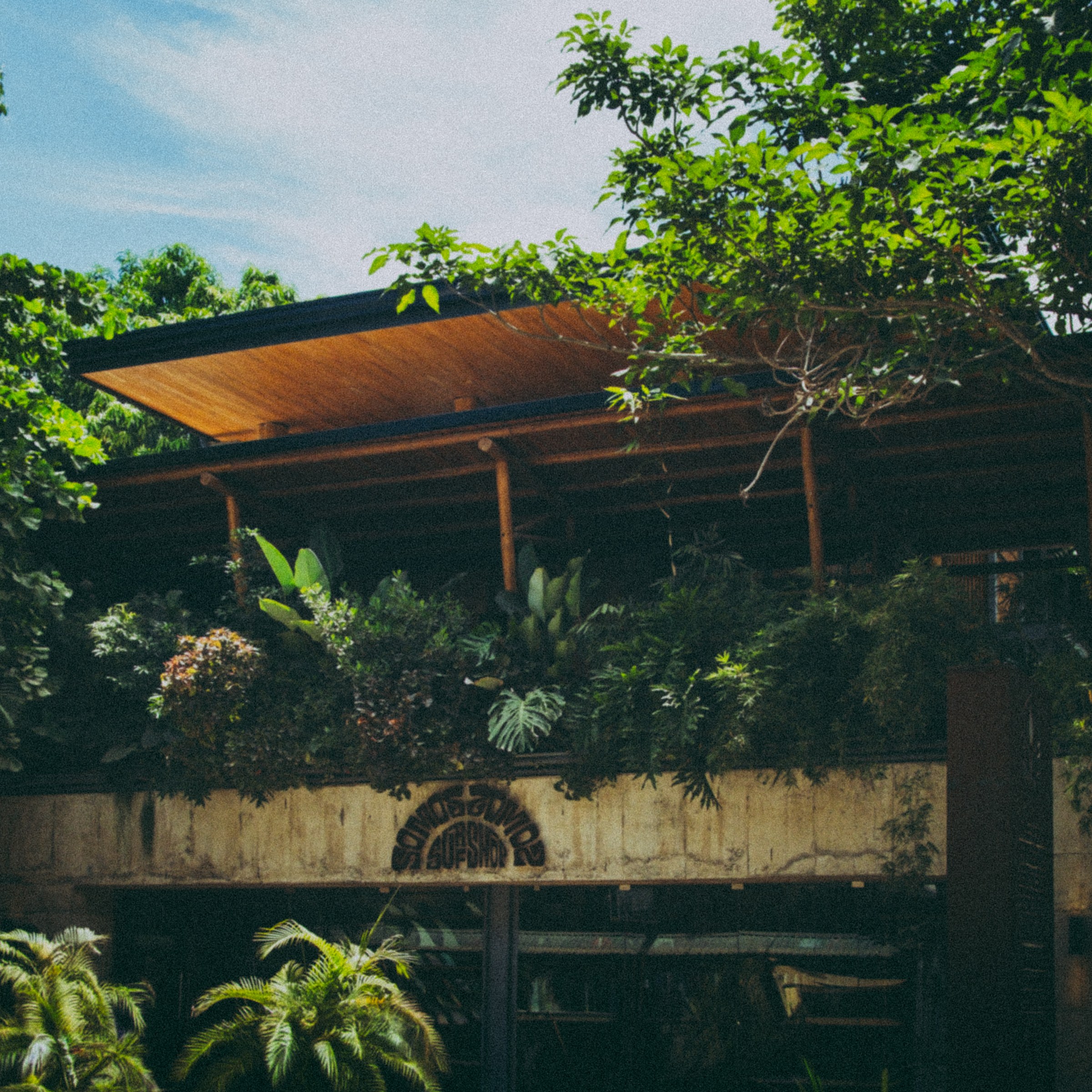The House of Somos building in Santa Teresa, with a wooden roofline, tropical plants and the Somos Surf Shop sign over the entrance.