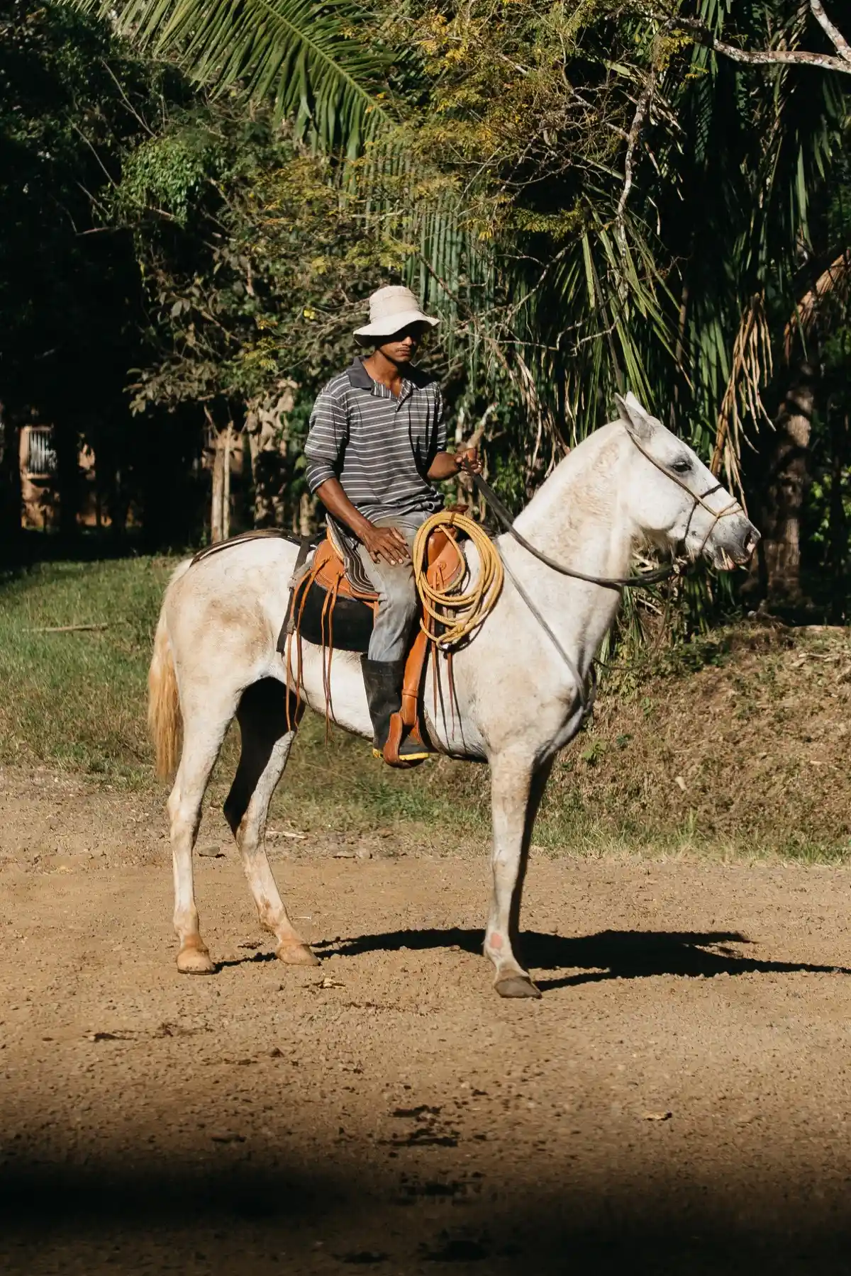 Local farmer on a white horse with a lasso on a dirt road