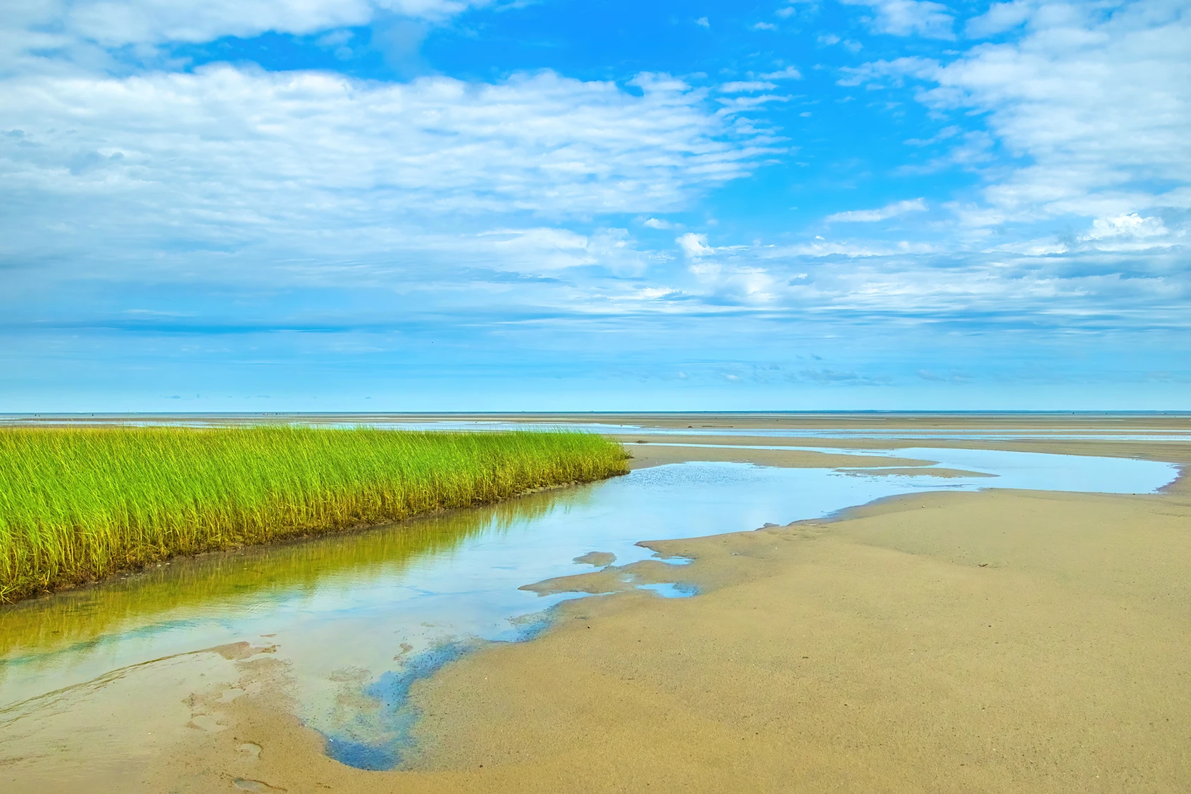 Cape Cod salt marsh and beach under a blue summer sky