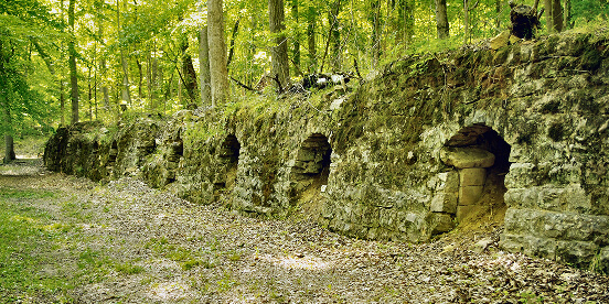 East Tennessee Attractions: A long row of arched stone coke ovens built into a mossy hillside in the woods.