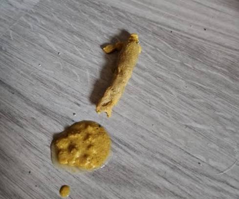 Why does your cat vomit hairball?