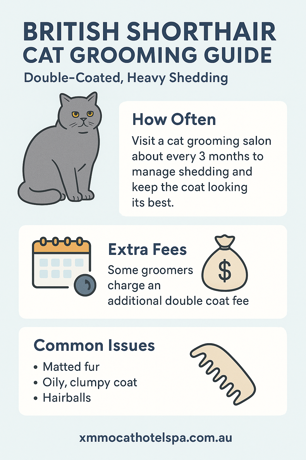 Do British Shorthairs Shed? How Much & What to Do About It