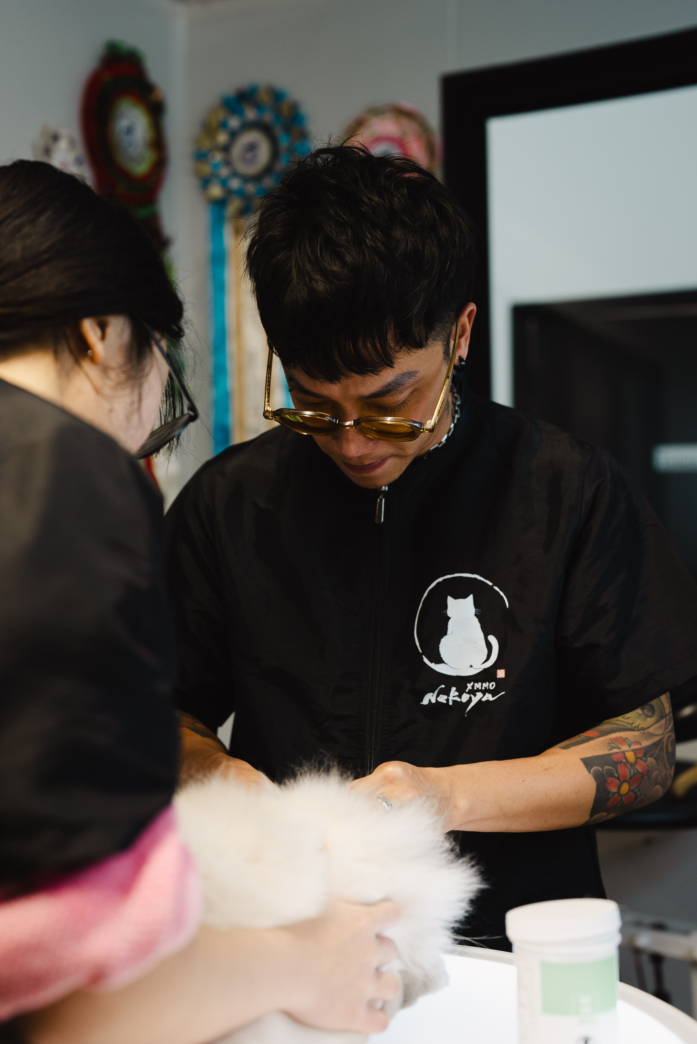 Why Cat-Only Grooming Salons Are Better for Your Cat | Cat Grooming Guide