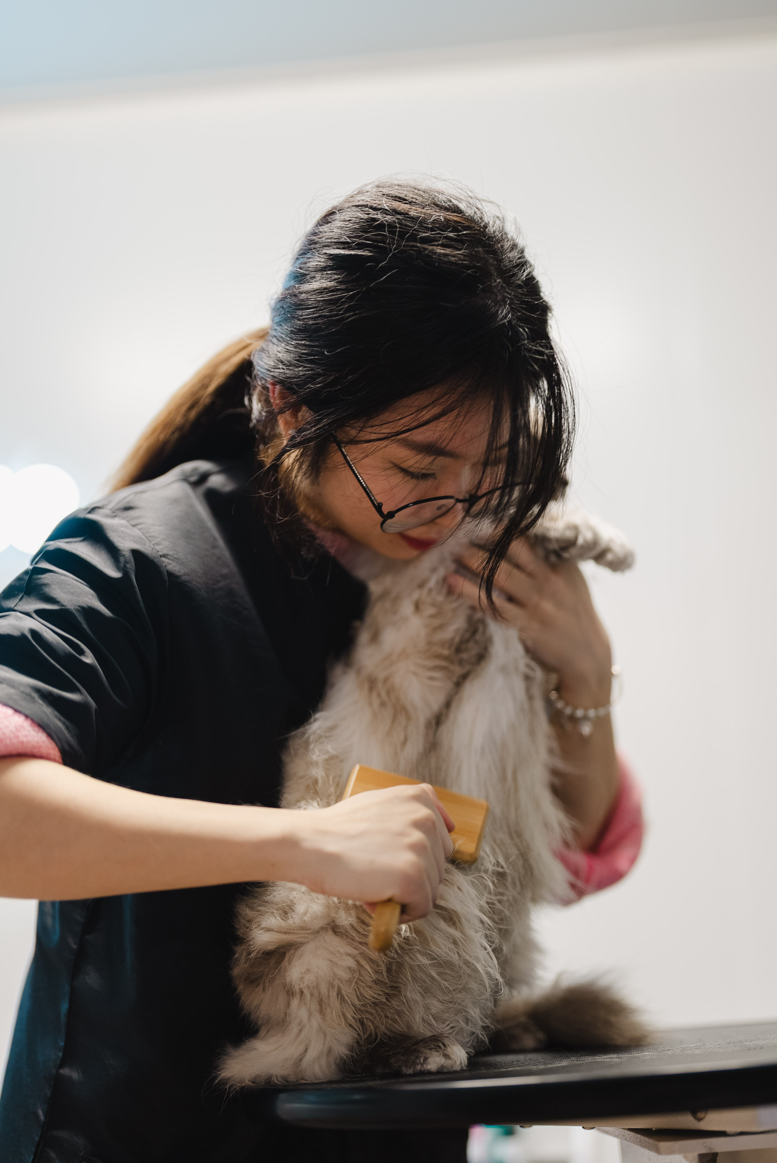 Fear-free Cat Grooming