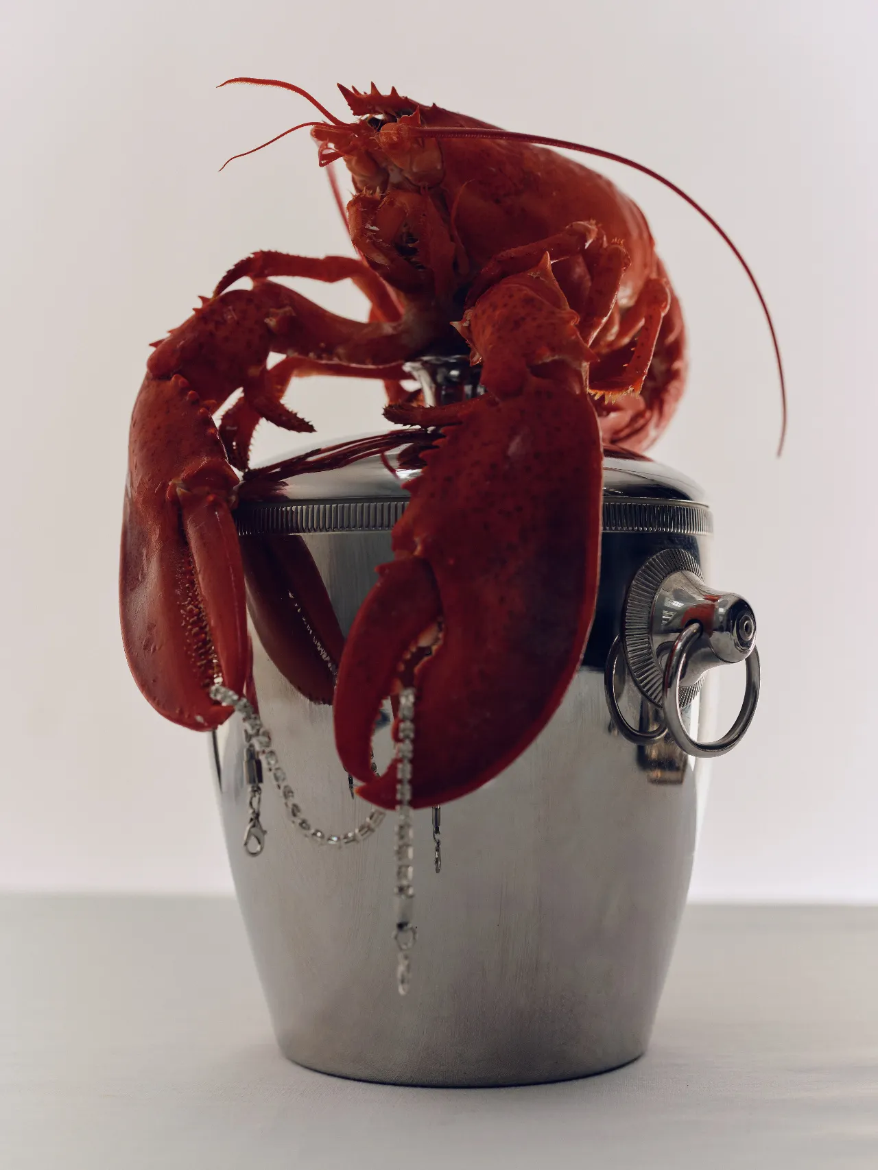 A bright red lobster is perched on top of a polished silver ice bucket, its large claws hanging over the sides. Delicate diamond chains drape from the lobster and bucket against a clean, pale background. 