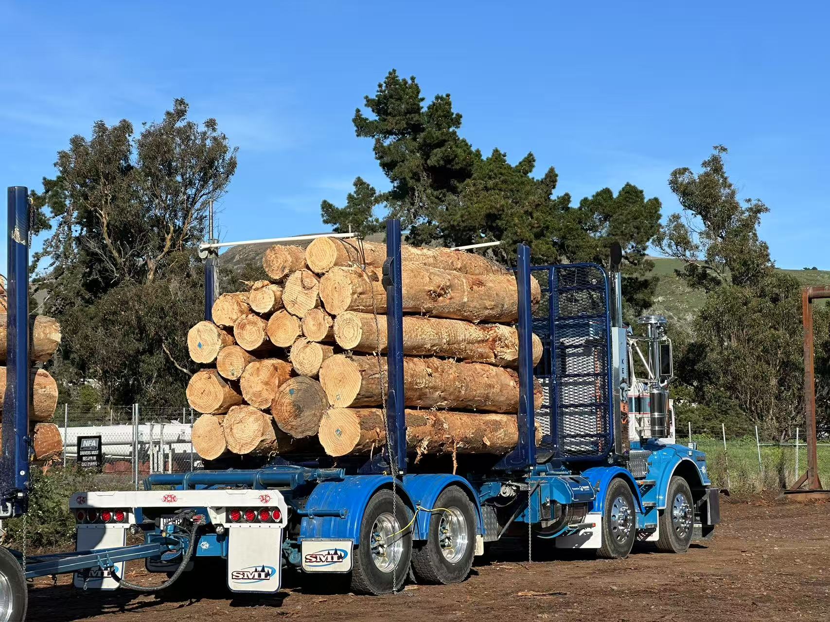 New Zealand Radiata Pine logs prepared for transport