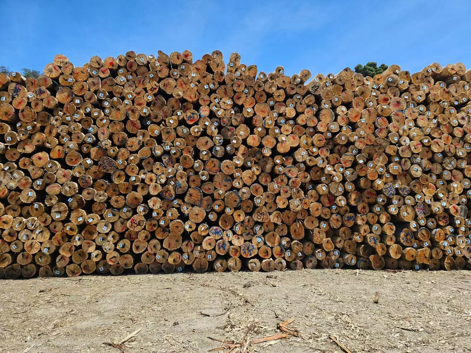 Niten logs stacked in a yard