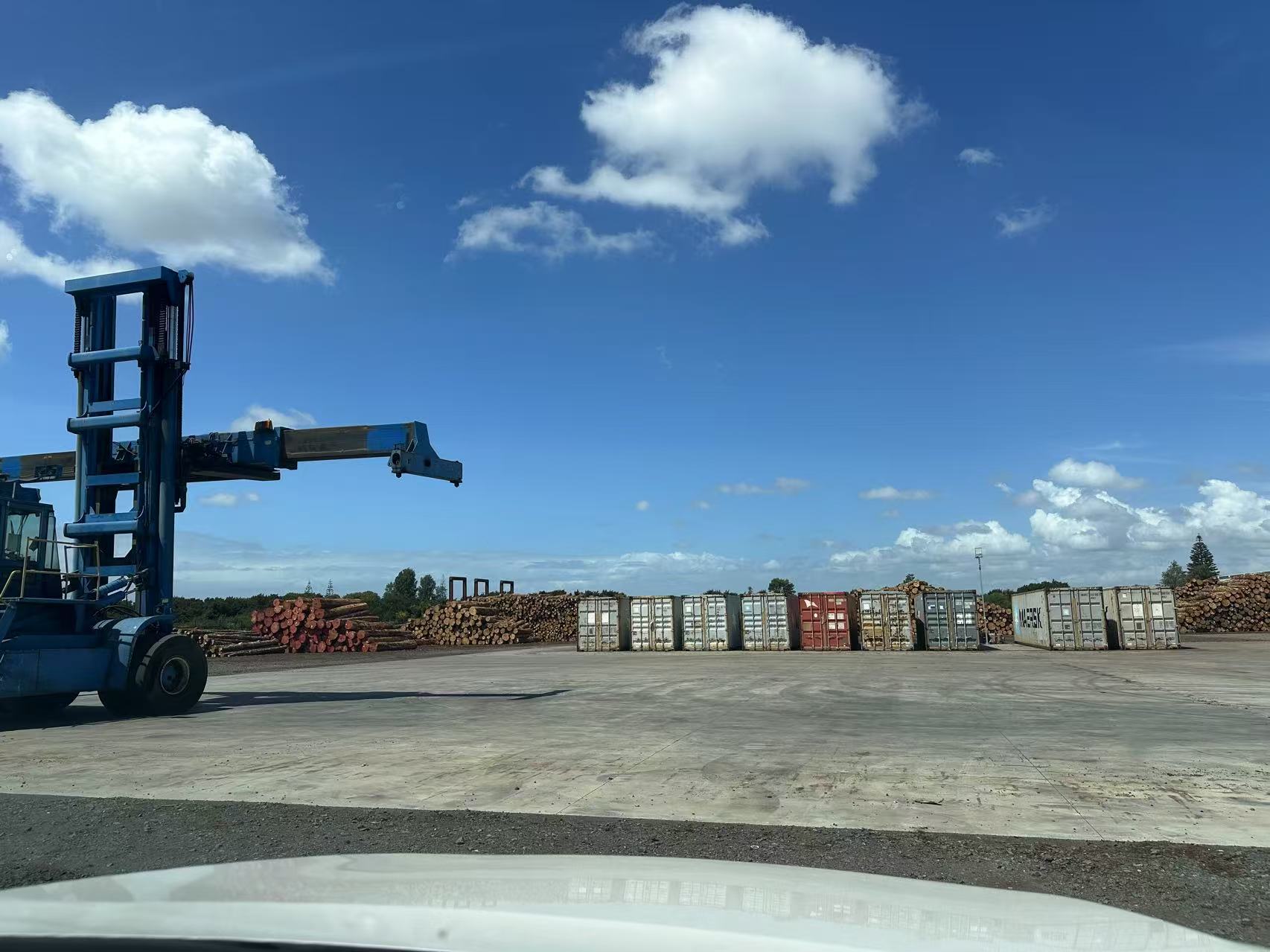 Log container operations at an Auckland yard