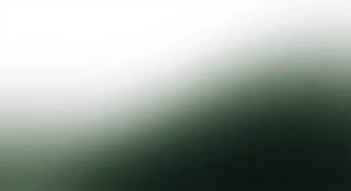 hero bg overlay